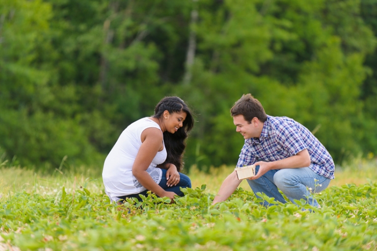 picking strawberries Engagement