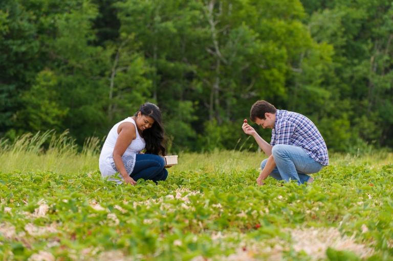 Couple in Strawberry field