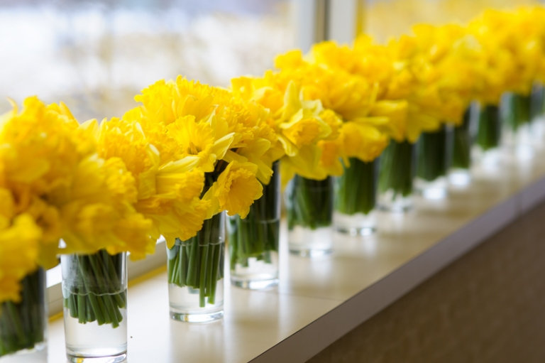 Daffodil flowers in vases