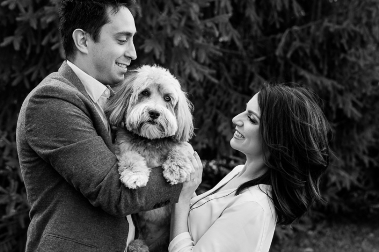 Engagement session with pet dog
