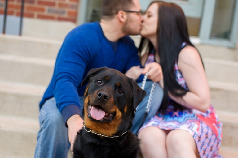 Dog engagement session in Moncton