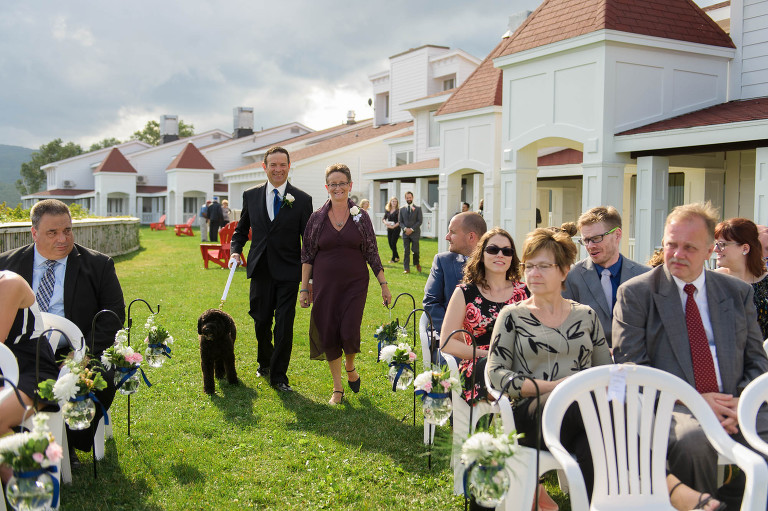 Dog in wedding ceremony