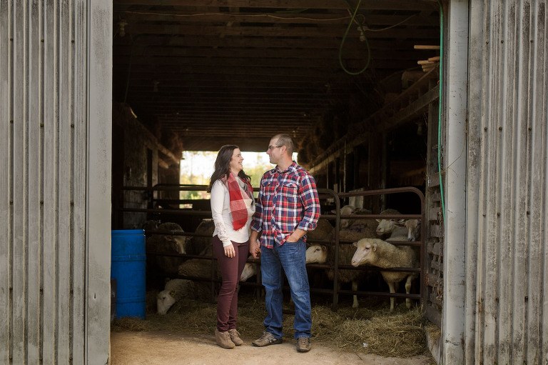 Couple in barn with sheeps