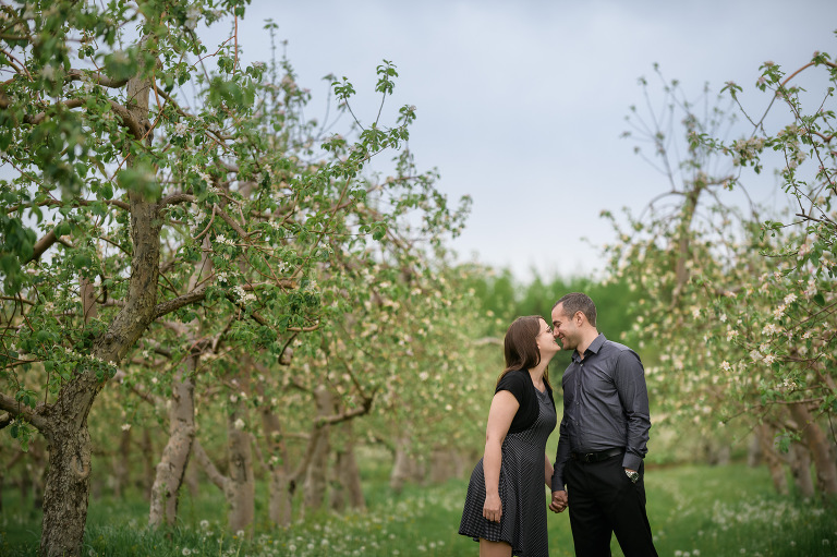 Apple Orchard Engagement Session